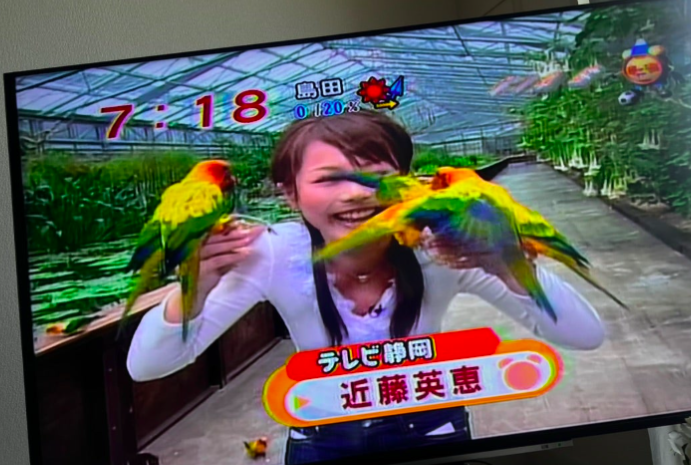 局アナ時代の近藤英恵