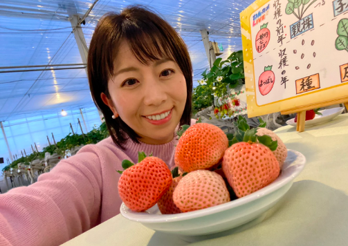 わんカメLIVEで取材をする江口アミ