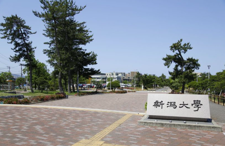 新潟大学