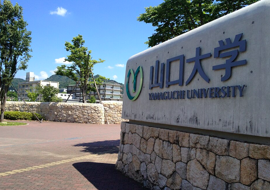 山口大学
